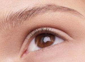 close up of ladies eyelashes and brow